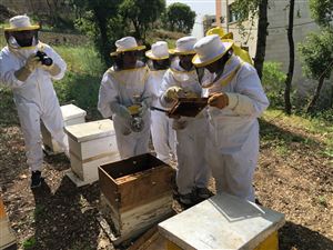 /Gallery/Events/ApprendreLApiculture/WhatsApp Image 2018-07-09 at 9.59.48 AM (1).jpeg